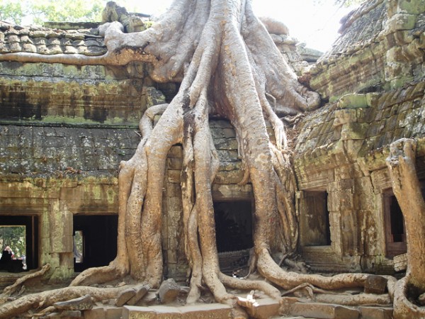 храмы камбоджи та пром