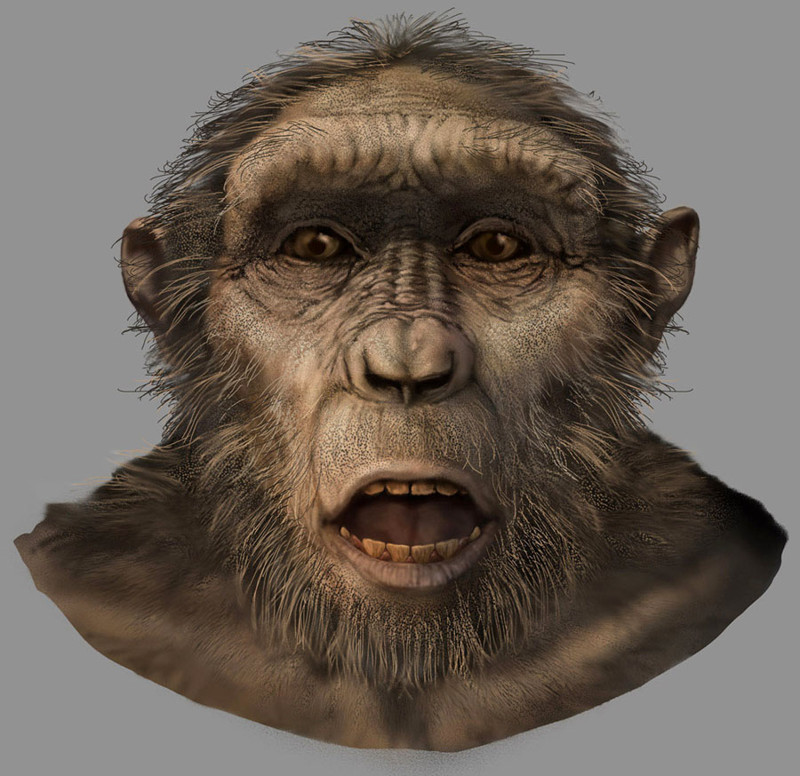 От обезьяны к человеку: десять шагов антропогенез, древний человек, эволюция