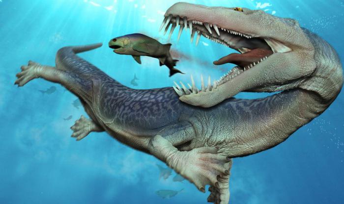 виды плавающих динозавров