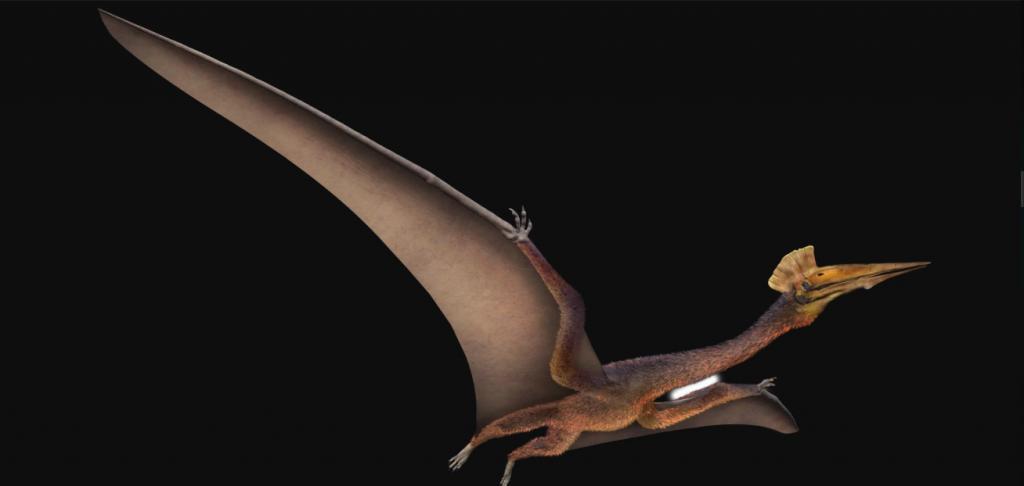 птерозавр кетцалькоатль