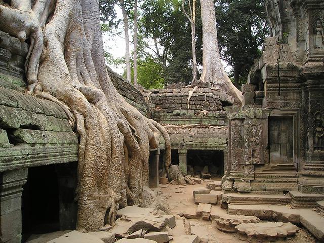ангкор ват храмовый комплекс в камбодже
