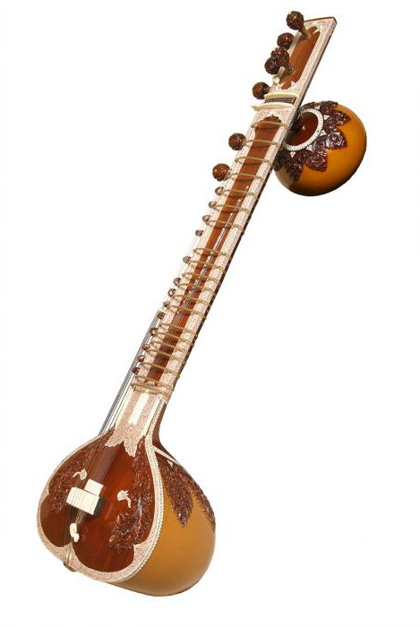 индийский струнный музыкальный инструмент