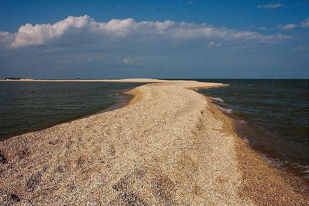 побережье азовского моря