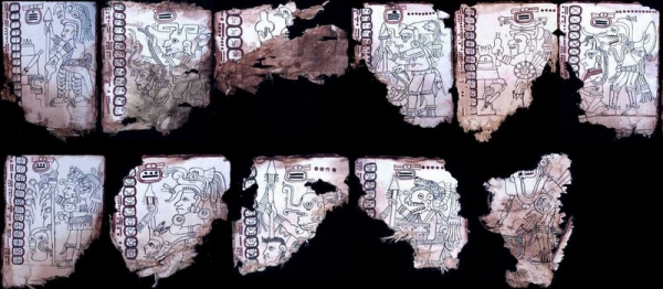 Доказана подлинность кодекса Гролье - древней рукописи майя