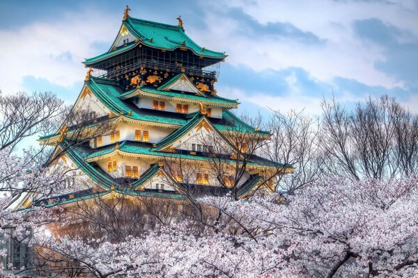 Япония, Храм цветения