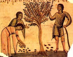 хозяйственная деятельность афин в античную эпоху