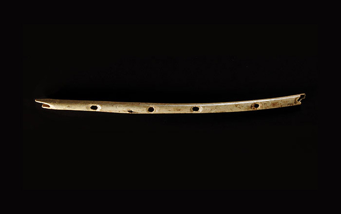 Самый древний в мире музыкальный инструмент