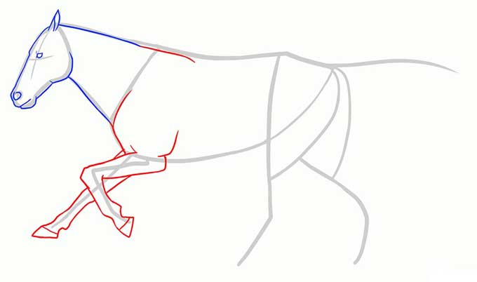 Рисуем передние ноги бегущего коня