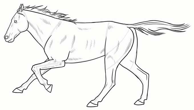Готовый рисунок бегущего коня