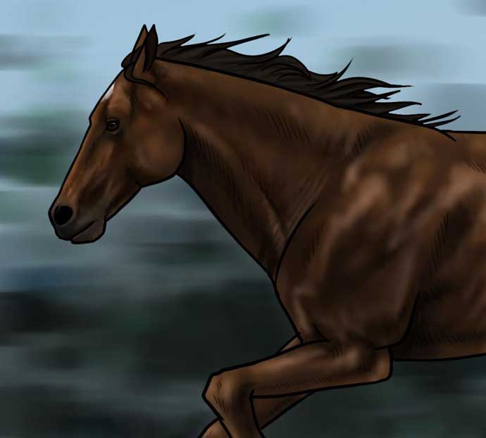 Как нарисовать коня