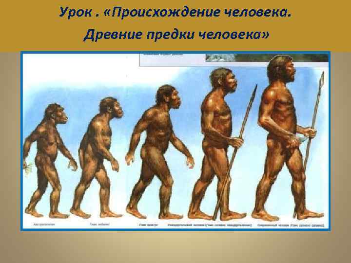Урок. «Происхождение человека. Древние предки человека» 