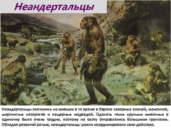 Неандертальцы охотились на живших в то время в Европе северных оленей, мамонтов, шерстистых носорогов