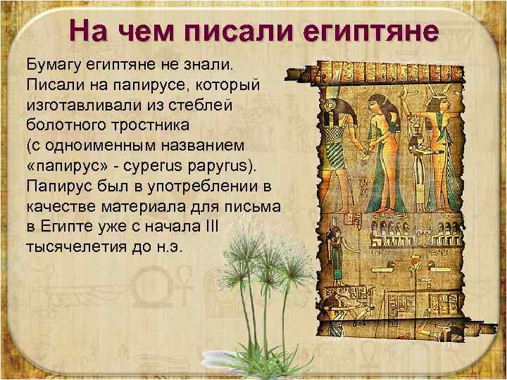 На чем писали египтяне Бумагу египтяне не знали. Писали на папирусе, который изготавливали из