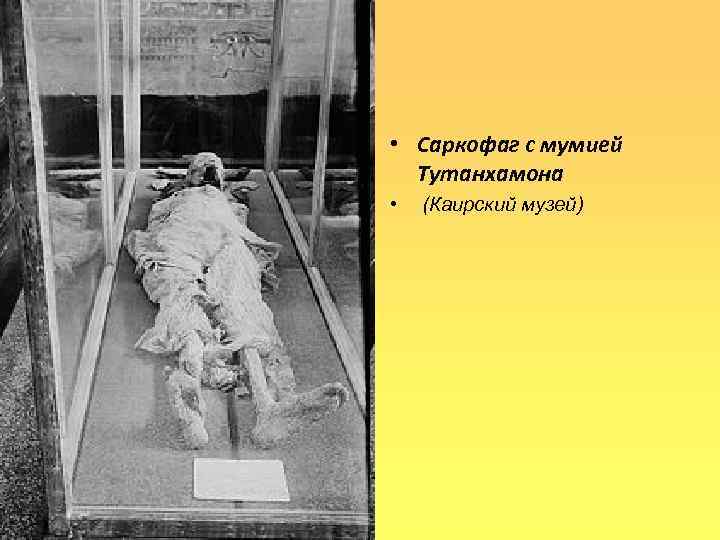  • Саркофаг с мумией Тутанхамона • (Каирский музей) 