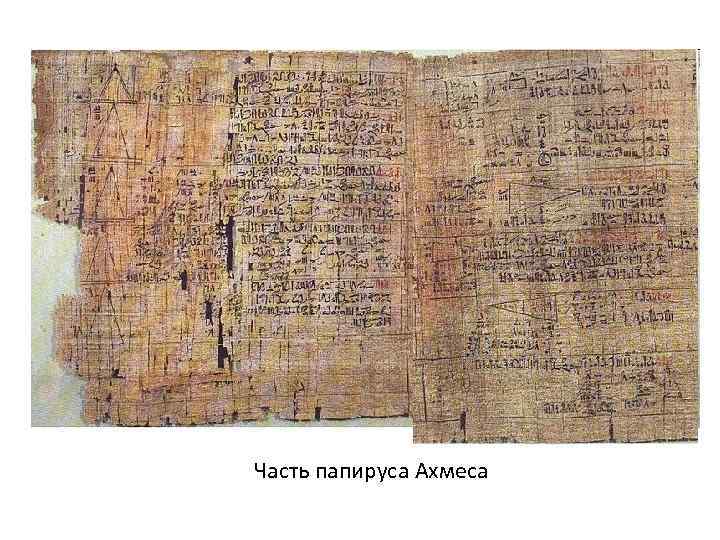 Часть папируса Ахмеса 