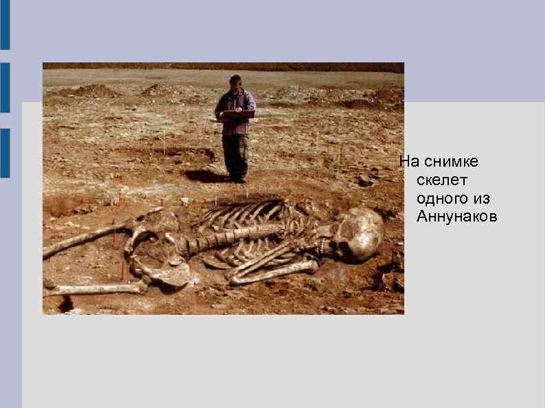 На снимке скелет одного из Аннунаков 