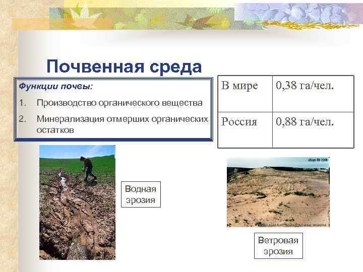 > Почвенная среда Функции почвы: В мире 0, 38 га/чел.