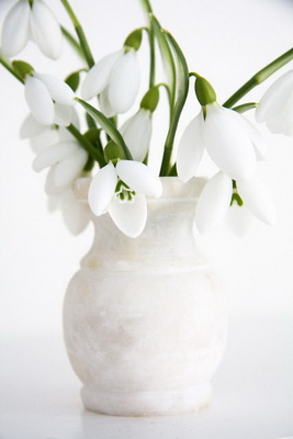 Белая ваза