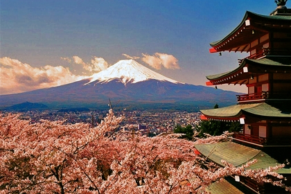 Самые яркие культурные традиции Японии