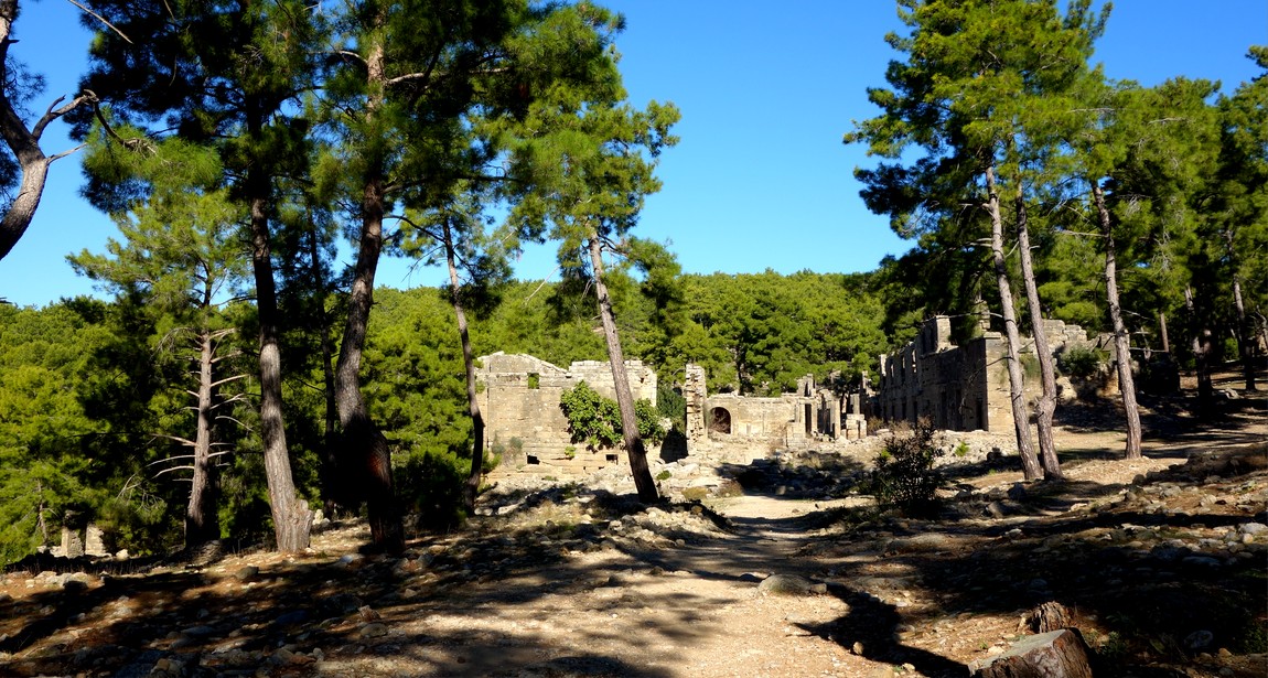 Селевки руины древнего города