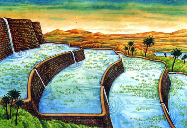 Ирригационная система. Древний Египет
