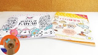 Книжка-раскраска из Японии | Японские рисунки разной сложности | Презентация и обзор