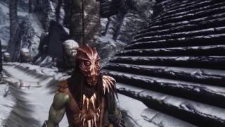 Уникальное видео - The Elder Scrolls : Skyrim