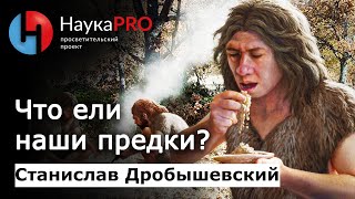 Станислав Дробышевский - Что ели наши предки?