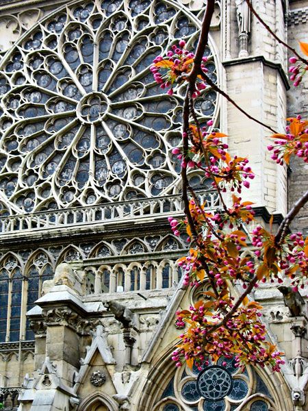 Rose Window, Cathedrale Notre-Dame, Paris: 