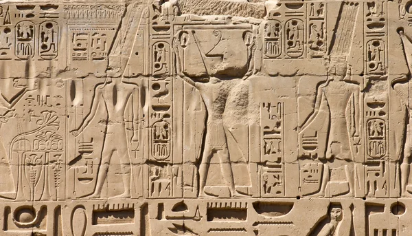 Иероглифы Египта, вырезанные на камне — стоковое фото