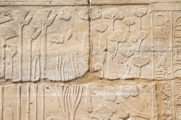 Старый Египет иероглифы, вырезанные на камне — стоковое фото