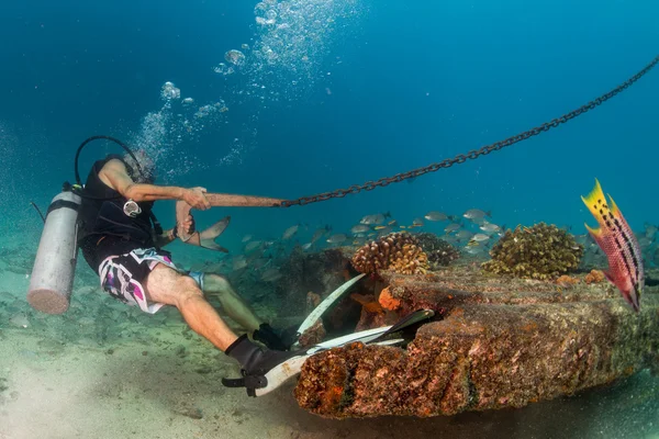 Дайвер Холдинг лодочный якорь из подводного — стоковое фото