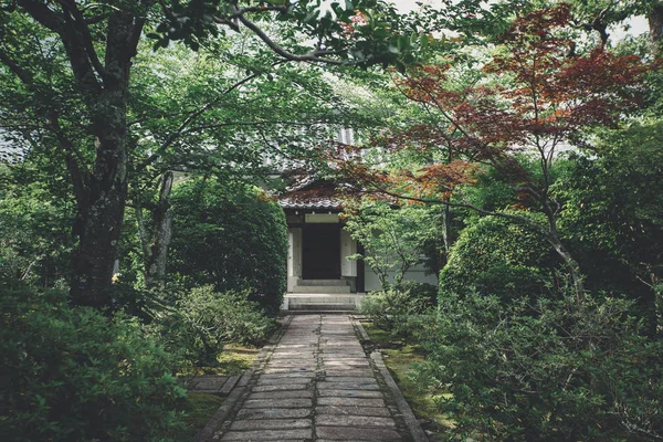 Japanese Temple Japanese Maple Tree Leaves Kyoto Vintage Film Style — стоковое фото