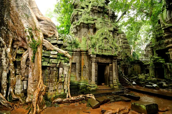 Ангкор Ват — стоковое фото