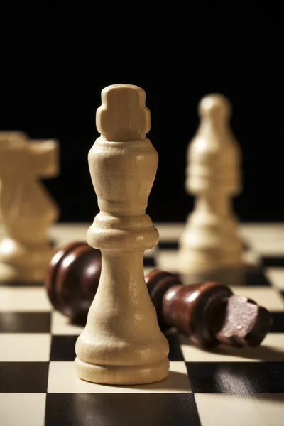Шахматными — стоковое фото