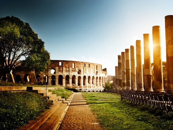Колизей в Риме, Италии Стоковое Изображение