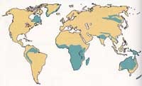 религии на карте мира
