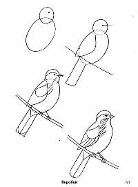 Как рисовать птиц