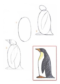 Как рисовать птиц