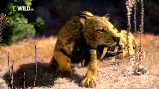 Доисторический мир Древние животные Саблезубый тигр Документальный фильм National Geographic