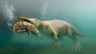 Пути эволюции — Сухопутные киты (Документальные фильмы, передачи HD)