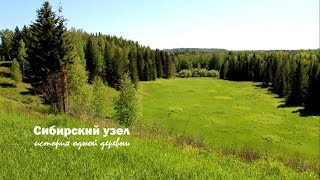 Сибирский узел. История одной деревни