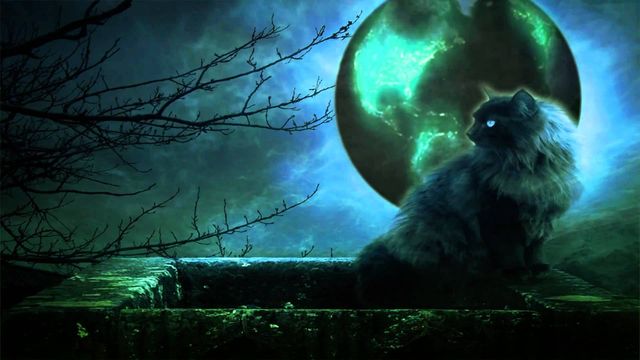 Кот на балконе на фоне луны
