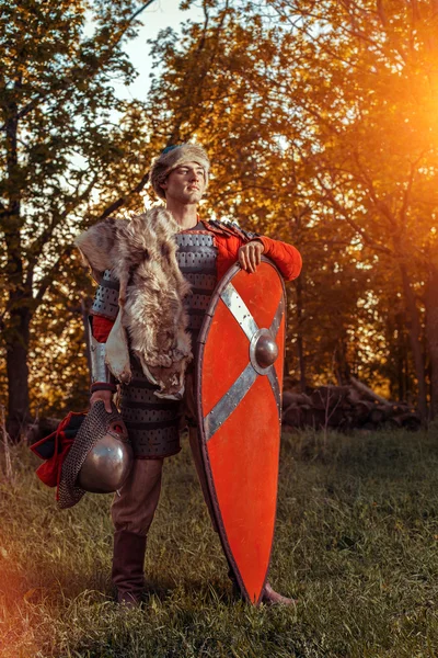 Храбрый воин славянских с щит на фоне леса летом — стоковое фото