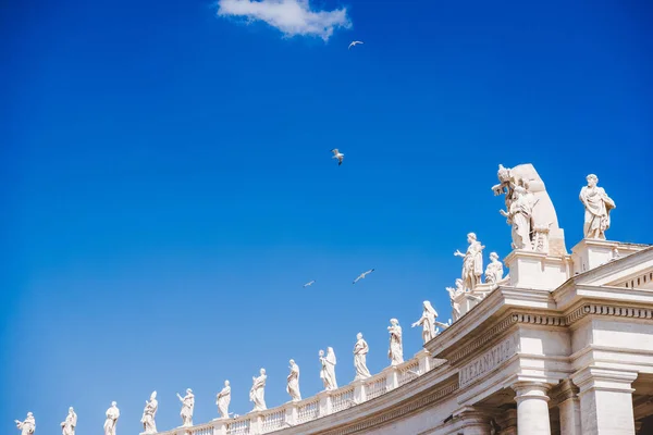 Вид Снизу Птиц Летающих Над Статуи Площади Святого Петра Ватикане — стоковое фото