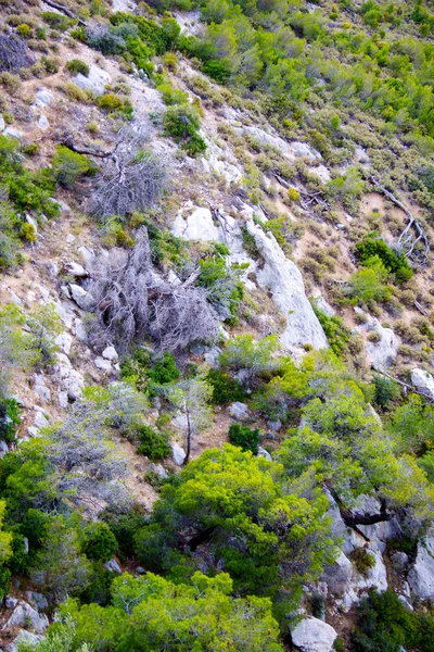 Гора Олимп - высокий пик в Греции — стоковое фото